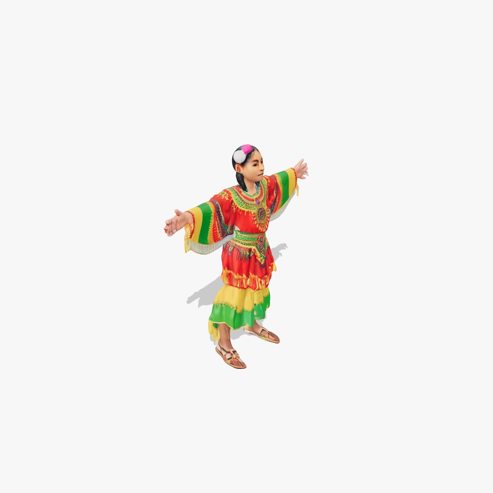 Vibrant Ethnic Dress model pack